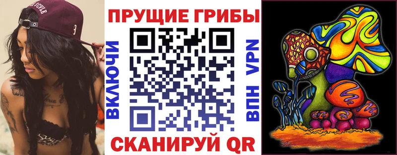 Псилоцибиновые грибы Cubensis  Купить где  Краснокамск 